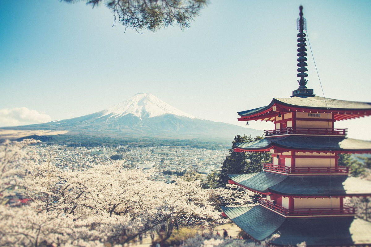 Mount Fuji behind Chureito Pagoda and cherry blossoms in Fujiyoshida, Japan